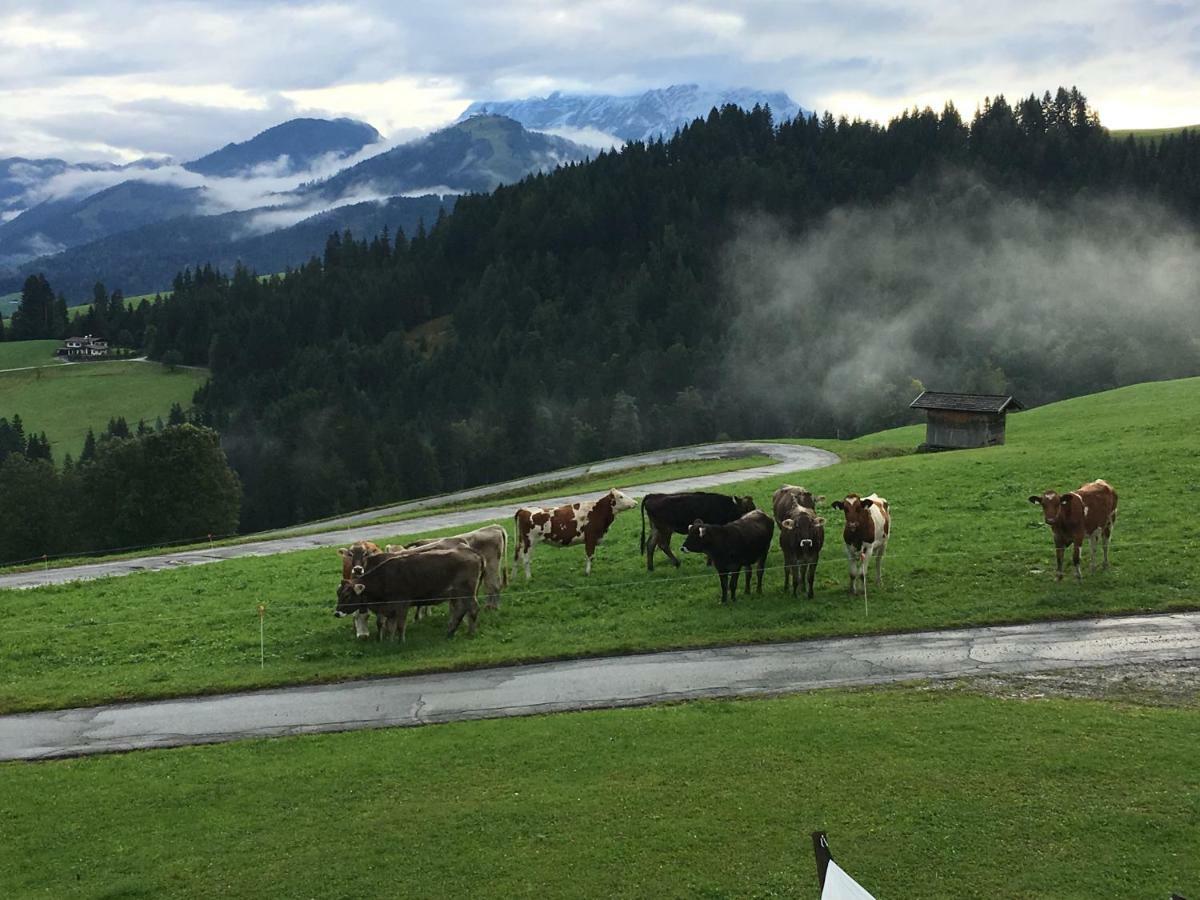 Ferienwohnung Baerfeld Fieberbrunn Kültér fotó